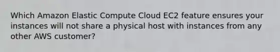 Which Amazon Elastic Compute Cloud EC2 feature ensures your instances will not share a physical host with instances from any other AWS customer?