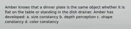 Amber knows that a dinner plate is the same object whether it is flat on the table or standing in the dish drainer. Amber has developed: a. size constancy b. depth perception c. shape constancy d. color constancy