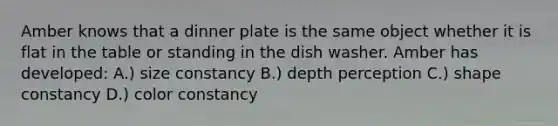 Amber knows that a dinner plate is the same object whether it is flat in the table or standing in the dish washer. Amber has developed: A.) size constancy B.) depth perception C.) shape constancy D.) color constancy