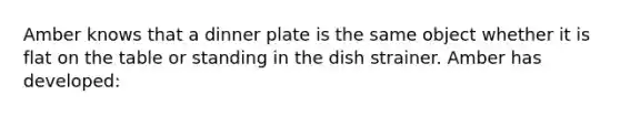 Amber knows that a dinner plate is the same object whether it is flat on the table or standing in the dish strainer. Amber has developed: