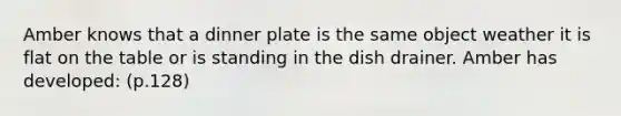 Amber knows that a dinner plate is the same object weather it is flat on the table or is standing in the dish drainer. Amber has developed: (p.128)