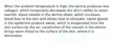 When the ambient temperature is high: the dermis produces less collagen, which temporarily decreases the skin's ability to retain warmth. blood vessels in the dermis dilate, which increases blood flow to the skin and allows heat to dissipate. sweat glands in the epidermis produce sweat, which is evaporated from the skin surface by the air. constriction of the vessels in the dermis brings warm blood to the surface of the skin, where it is eliminated.