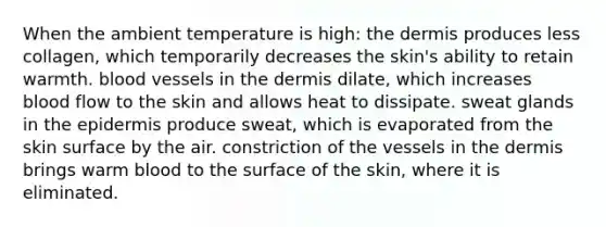 When the ambient temperature is high: the dermis produces less collagen, which temporarily decreases the skin's ability to retain warmth. blood vessels in the dermis dilate, which increases blood flow to the skin and allows heat to dissipate. sweat glands in the epidermis produce sweat, which is evaporated from the skin surface by the air. constriction of the vessels in the dermis brings warm blood to the surface of the skin, where it is eliminated.