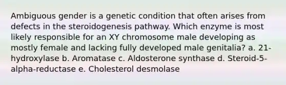 Ambiguous gender is a genetic condition that often arises from defects in the steroidogenesis pathway. Which enzyme is most likely responsible for an XY chromosome male developing as mostly female and lacking fully developed male genitalia? a. 21-hydroxylase b. Aromatase c. Aldosterone synthase d. Steroid-5-alpha-reductase e. Cholesterol desmolase