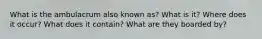 What is the ambulacrum also known as? What is it? Where does it occur? What does it contain? What are they boarded by?