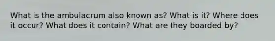 What is the ambulacrum also known as? What is it? Where does it occur? What does it contain? What are they boarded by?