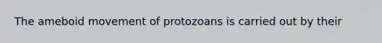 The ameboid movement of protozoans is carried out by their