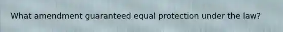 What amendment guaranteed equal protection under the law?