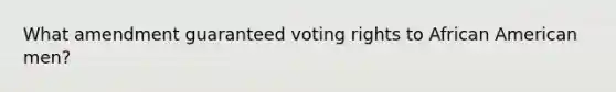 What amendment guaranteed voting rights to African American men?