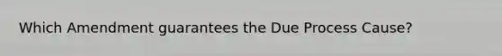 Which Amendment guarantees the Due Process Cause?