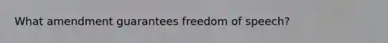 What amendment guarantees freedom of speech?