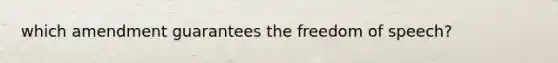 which amendment guarantees the freedom of speech?