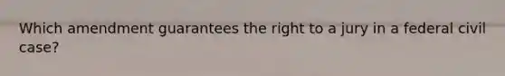 Which amendment guarantees the right to a jury in a federal civil case?