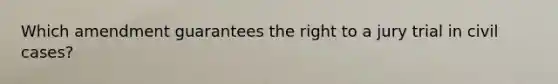 Which amendment guarantees the right to a jury trial in civil cases?