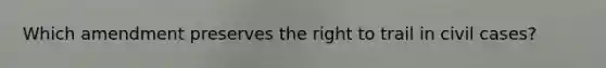 Which amendment preserves the right to trail in civil cases?