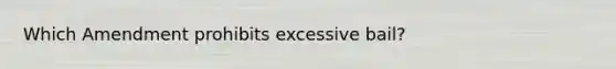 Which Amendment prohibits excessive bail?