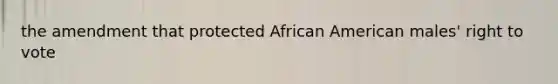 the amendment that protected African American males' right to vote