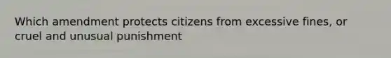 Which amendment protects citizens from excessive fines, or cruel and unusual punishment