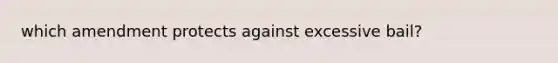 which amendment protects against excessive bail?