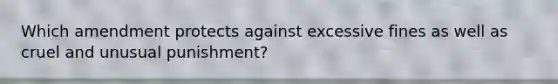 Which amendment protects against excessive fines as well as cruel and unusual punishment?