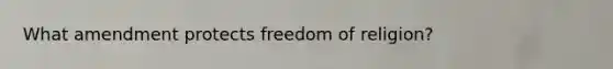 What amendment protects freedom of religion?