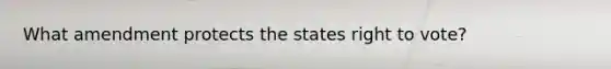 What amendment protects the states right to vote?