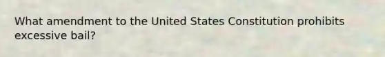 What amendment to the United States Constitution prohibits excessive bail?