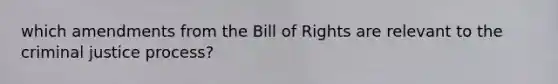 which amendments from the Bill of Rights are relevant to the criminal justice process?