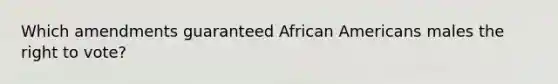 Which amendments guaranteed African Americans males the right to vote?