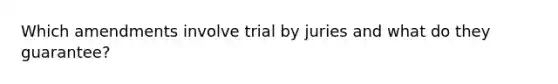 Which amendments involve trial by juries and what do they guarantee?