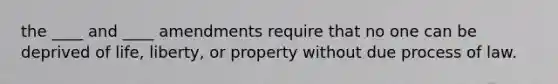 the ____ and ____ amendments require that no one can be deprived of life, liberty, or property without due process of law.