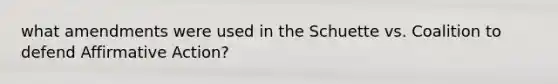 what amendments were used in the Schuette vs. Coalition to defend Affirmative Action?
