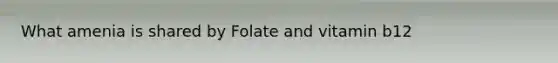 What amenia is shared by Folate and vitamin b12