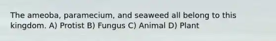 The ameoba, paramecium, and seaweed all belong to this kingdom. A) Protist B) Fungus C) Animal D) Plant