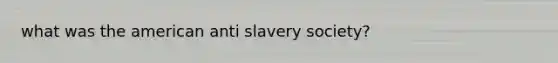 what was the american anti slavery society?