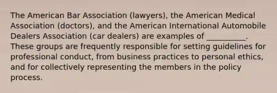 The American Bar Association (lawyers), the American Medical Association (doctors), and the American International Automobile Dealers Association (car dealers) are examples of __________. These groups are frequently responsible for setting guidelines for professional conduct, from business practices to personal ethics, and for collectively representing the members in the policy process.