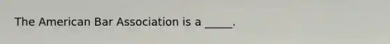 The American Bar Association is a _____.