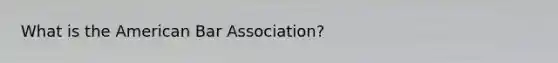 What is the American Bar Association?