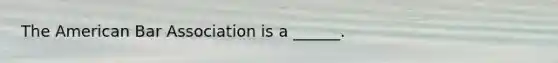 The American Bar Association is a ______.