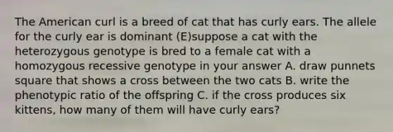 The American curl is a breed of cat that has curly ears. The allele for the curly ear is dominant (E)suppose a cat with the heterozygous genotype is bred to a female cat with a homozygous recessive genotype in your answer A. draw punnets square that shows a cross between the two cats B. write the phenotypic ratio of the offspring C. if the cross produces six kittens, how many of them will have curly ears?