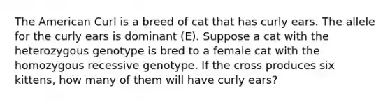 The American Curl is a breed of cat that has curly ears. The allele for the curly ears is dominant (E). Suppose a cat with the heterozygous genotype is bred to a female cat with the homozygous recessive genotype. If the cross produces six kittens, how many of them will have curly ears?