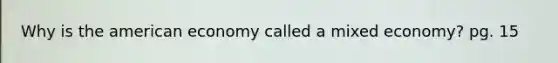 Why is the american economy called a mixed economy? pg. 15