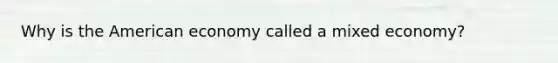 Why is the American economy called a mixed economy?