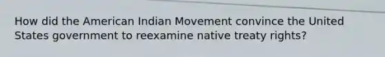 How did the American Indian Movement convince the United States government to reexamine native treaty rights?