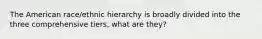 The American race/ethnic hierarchy is broadly divided into the three comprehensive tiers, what are they?