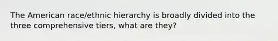 The American race/ethnic hierarchy is broadly divided into the three comprehensive tiers, what are they?