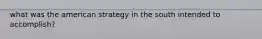 what was the american strategy in the south intended to accomplish?