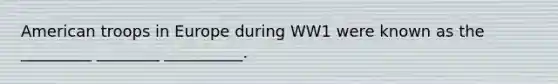 American troops in Europe during WW1 were known as the _________ ________ __________.