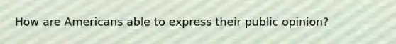 How are Americans able to express their public opinion?