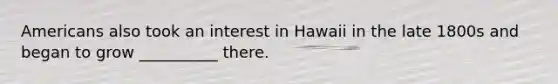 Americans also took an interest in Hawaii in the late 1800s and began to grow __________ there.